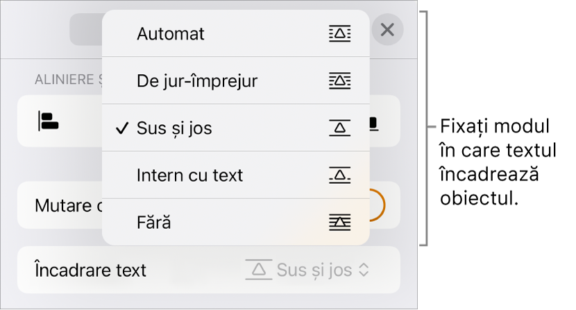 Comenzile Încadrare text cu configurări pentru Automat, De jur-împrejur, Sus și jos, Intern cu text și Nimic.