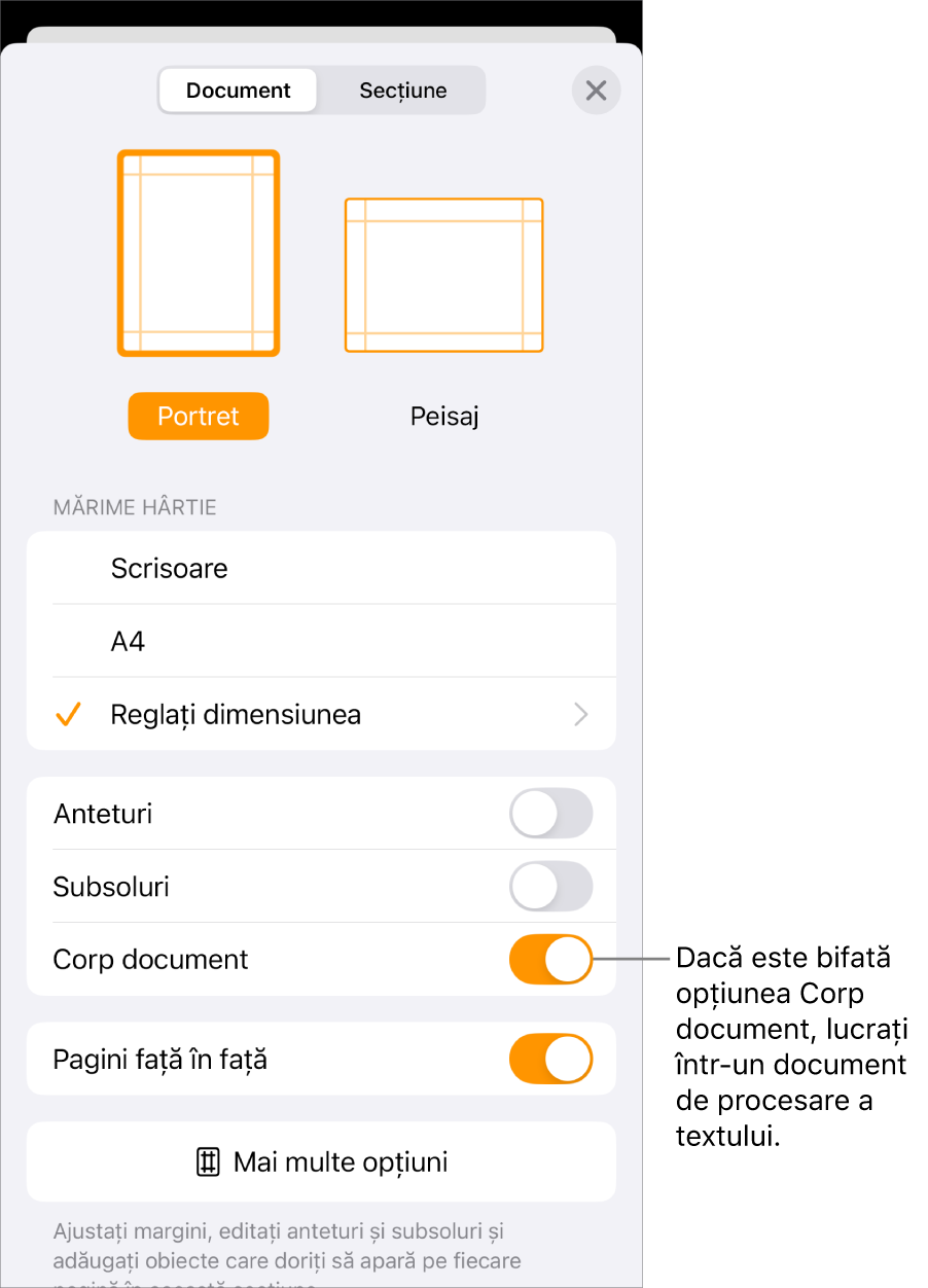 Meniul Configurare document deschis, cu opțiunea Corp document bifată într-un document de procesare a textului.