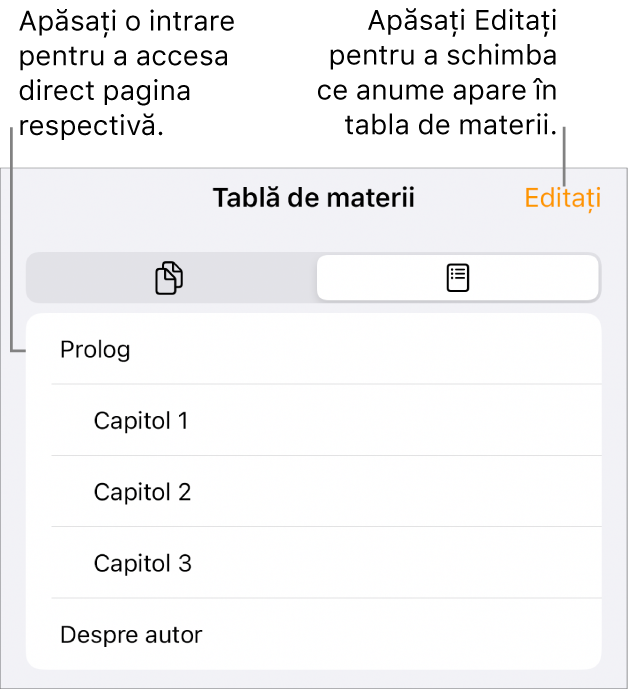 Vizualizarea tablei de materii, cu colontitlurile sub formă de listă. Un buton Editează se află în colțul dreapta sus, iar în partea de jos se află butoanele Miniaturi pagini și Tablă de materii.