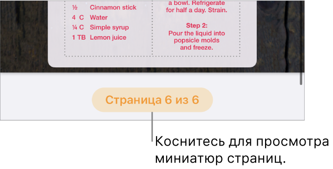 Открытый документ с кнопкой номера страницы внизу по центру экрана.