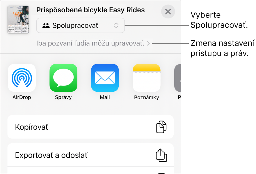 Menu Zdieľať s vybranou možnosťou Spolupracovať navrchu a pod ňou sa nachádzajú nastavenia prístupu a povolení.
