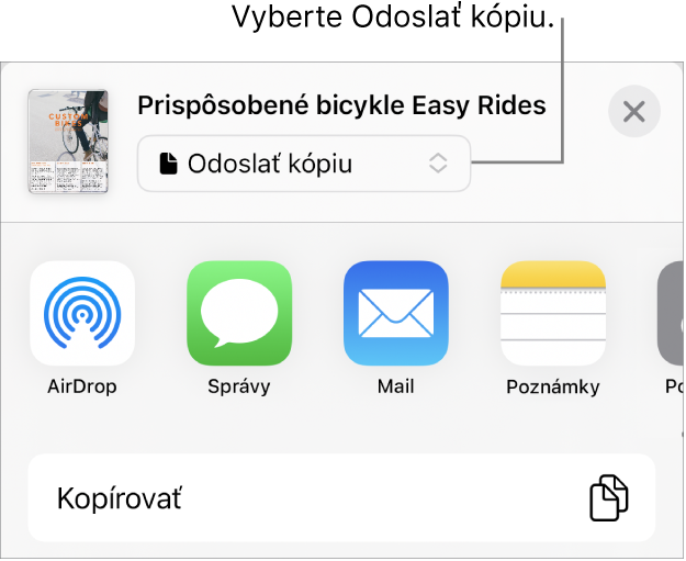 Menu Zdieľať s vybranou možnosťou Odoslať kópiu vo vrchnej časti.
