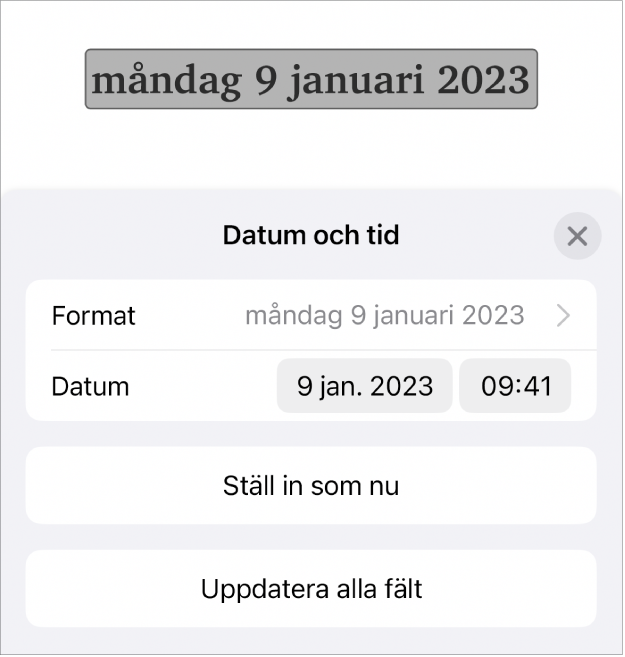 Reglagen Datum och tid med popupmenyn Format för datum och knapparna Ställ in som nu och Uppdatera alla fält.