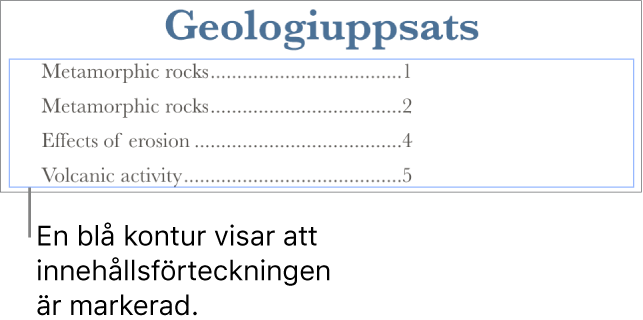 En innehållsförteckning infogad i ett dokument. Posterna visar rubriker och deras sidnummer.