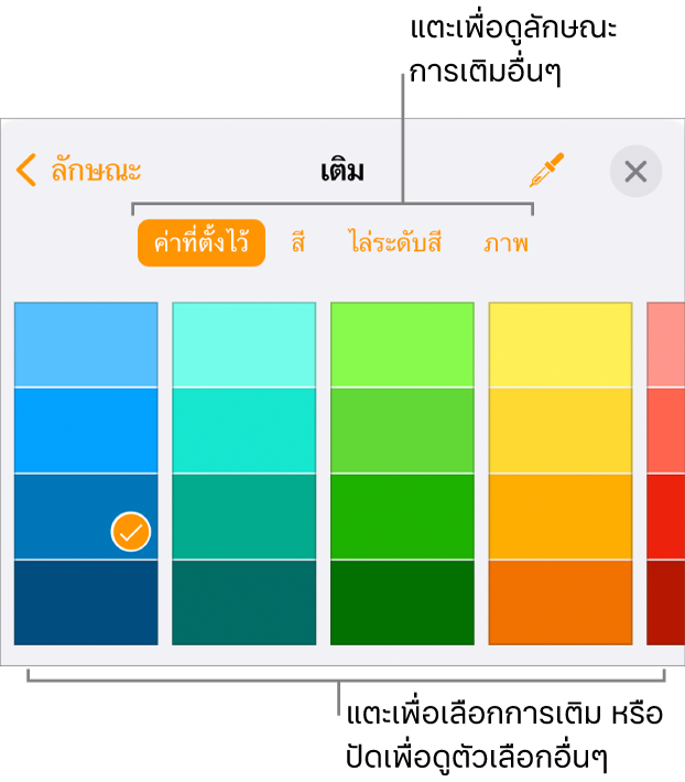 ตัวเลือกการเติมในแถบลักษณะของปุ่มรูปแบบ