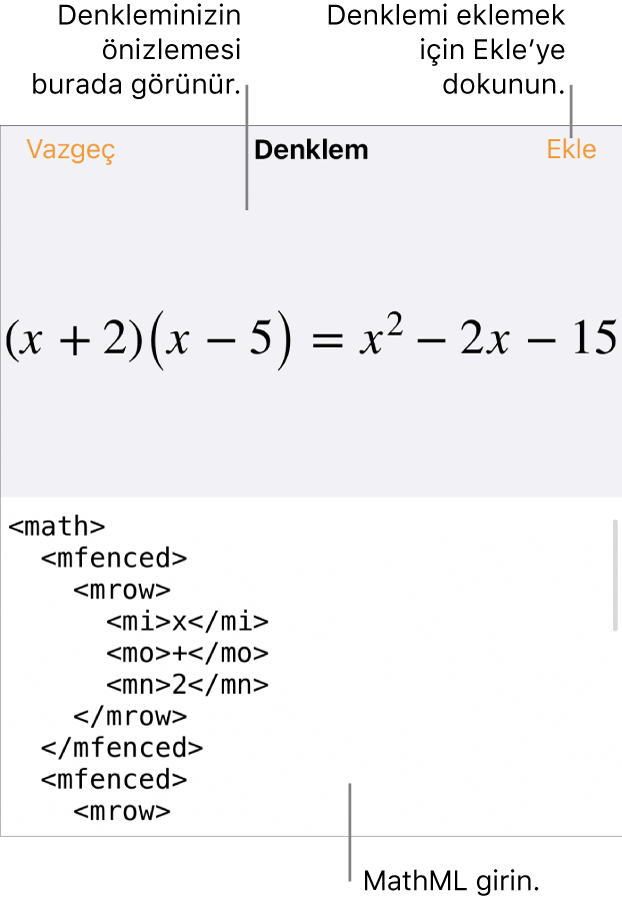 MathML komutları kullanılarak yazılmış bir denklemi ve onun üstünde formülün önizlemesini gösteren Denklem sorgu kutusu.