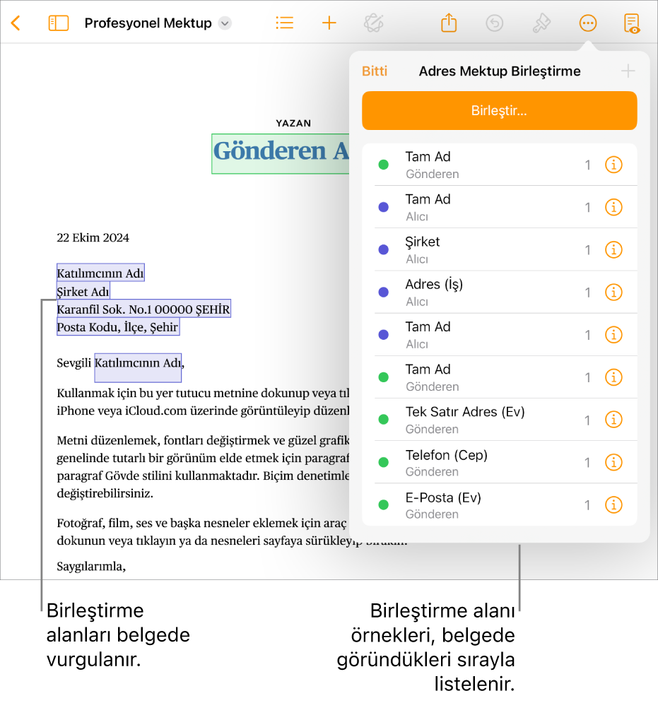 Alıcı ve gönderen birleştirme alanları ile Pages belgesi ve Belge kenar çubuğunda görünen birleştirme alanı örnekleri listesi.