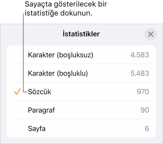 Boşluksuz ve boşluklu karakter sayısını, sözcük sayısını, paragraf sayısını ve sayfa sayısını gösterme seçeneklerini gösteren İstatistikler menüsü.