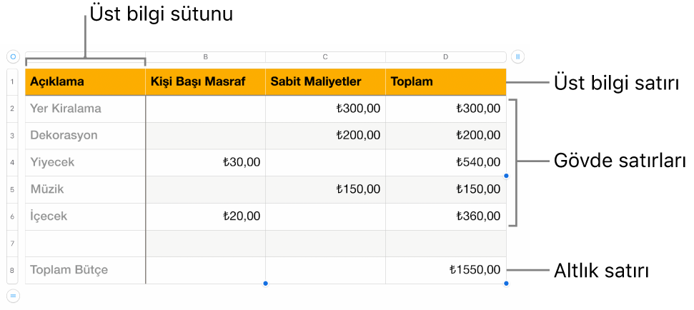 Üst bilgi, gövde ve dipnot satırlarını ve sütunlarını gösteren bir tablo.