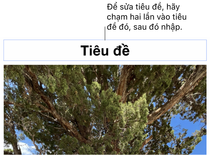 Chú thích giữ chỗ, “Tiêu đề”, xuất hiện bên dưới ảnh; đường viền màu lam xuất hiện xung quanh trường tiêu đề để cho biết tiêu đề đó đã được chọn.