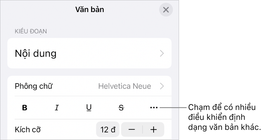 Tab Văn bản của điều khiển Định dạng, với lời nhắc đến nút Tùy chọn văn bản khác.