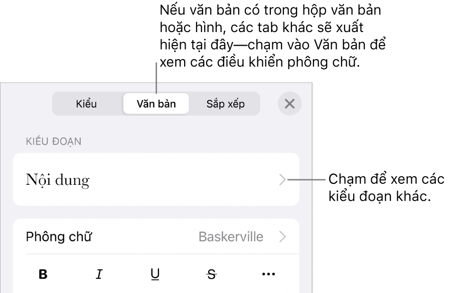 Menu Định dạng đang hiển thị các điều khiển văn bản để đặt kiểu, phông chữ, kích cỡ và màu của đoạn và ký tự.