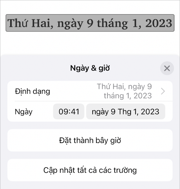 Điều khiển Ngày & Giờ hiển thị menu bật lên cho định dạng ngày, nút Đặt thành bây giờ và nút Cập nhật tất cả các trường.
