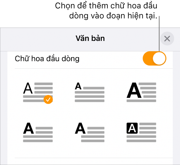 Các điều khiển Chữ hoa đầu dòng nằm trong menu Văn bản.