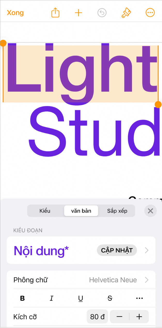 Trong tài liệu đang mở, văn bản được chọn và các tùy chọn văn bản được hiển thị ở dưới cùng.