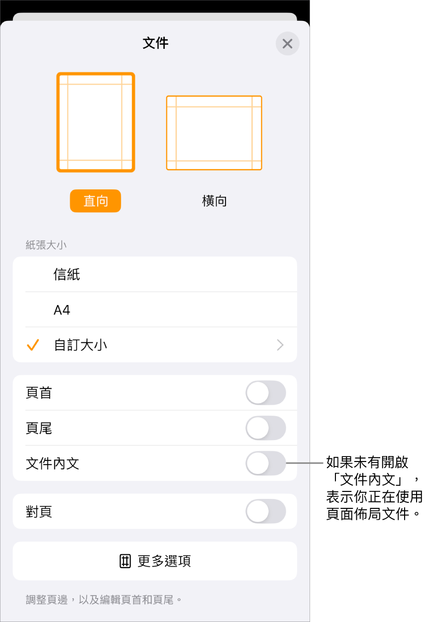 「文件設定」已開啟，其中頁面佈局文件已取消剔選「文件內文」。