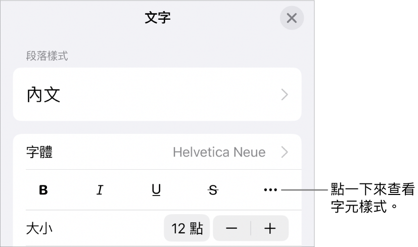 具備「粗體」、「斜體」、「底線」、「刪除線」和「更多文字選項」按鈕的「格式」控制項目。