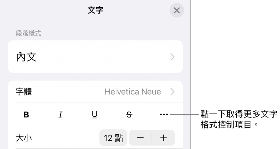 「格式」控制項目的「文字」分頁，附有文字説明指向「更多文字選項」按鈕。
