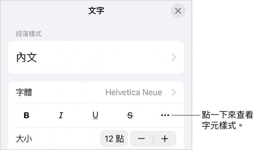 帶有「粗體」、「斜體」、「底線」、「刪除線」和「更多文字選項」按鈕的「格式」控制項目。