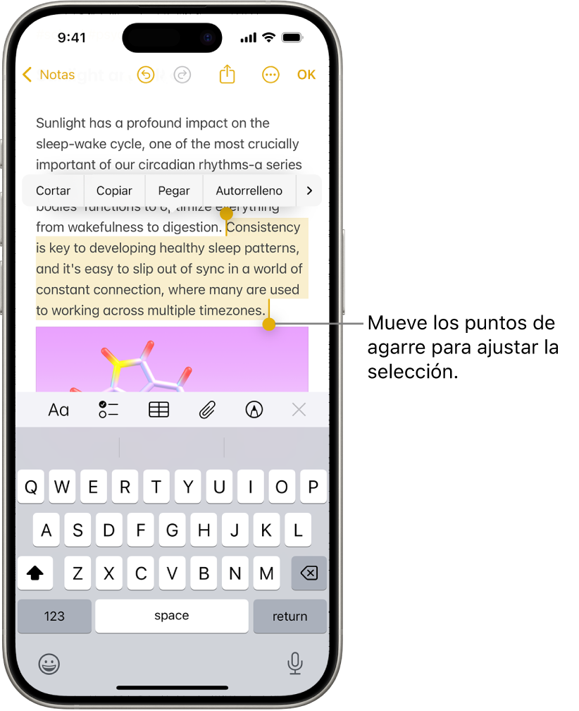 Hay texto seleccionado en una nota de la app Notas. Encima del texto seleccionado están los botones Cortar, Copiar, Pegar y Autorrelleno. El texto seleccionado está resaltado y presenta puntos de selección para ajustar la selección en ambos extremos.