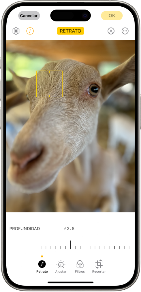 Pantalla Editar de un retrato en la app Fotos. Hay un retrato en el centro de la pantalla y debajo de él se muestra un regulador para configurar el ajuste de la profundidad. Debajo del regulador, de izquierda a derecha, se encuentran los botones Retrato, Ajustar, Filtros y Recortar. El botón Retrato está seleccionado.