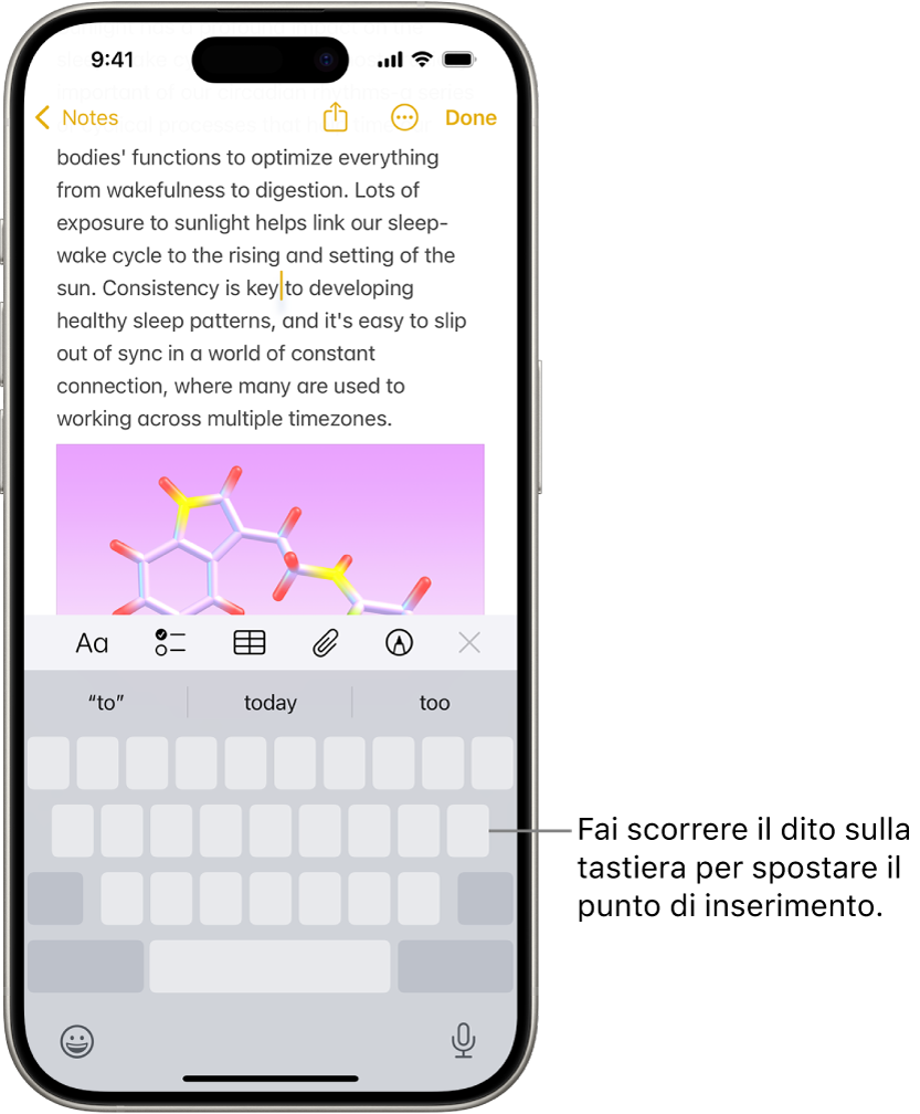 Nell’app Note è presente un documento aperto. Nella metà inferiore è presente la tastiera su schermo in modalità trackpad.