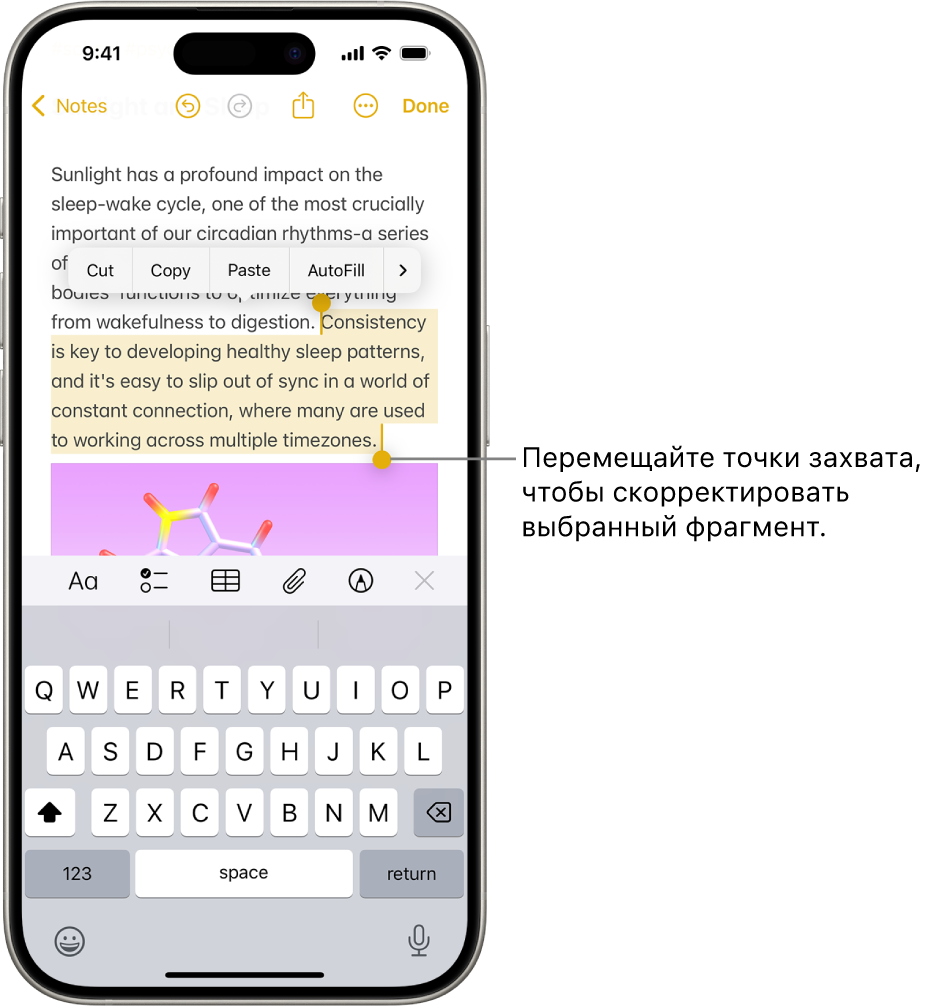Выбор, вырезание, копирование и вставка текста на iPhone - Служба поддержки  Apple (RU)