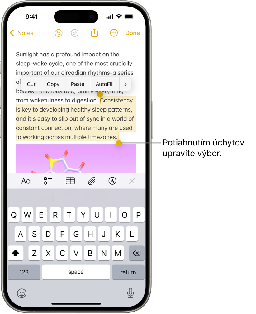 V apke Poznámky je označený text v poznámke. Nad označeným textom sú tlačidlá Vystrihnúť, Kopírovať, Vložiť a AutoFill. Označený text je zvýraznený a na oboch jeho koncoch sú úchyty na úpravu označenia.