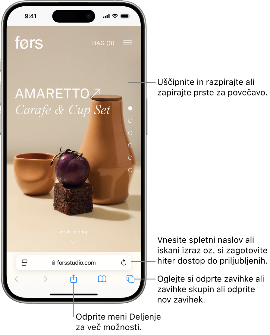 Spletno mesto, odprto v aplikaciji Safari, s poljem za naslov na dnu. Na dnu so od leve proti desni gumbi Nazaj, Naprej, Deli zaznamke in Zavihki.