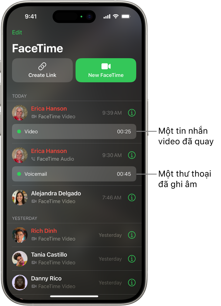 Lịch sử cuộc gọi FaceTime với các liên kết đến tin nhắn video được ghi và thư thoại.