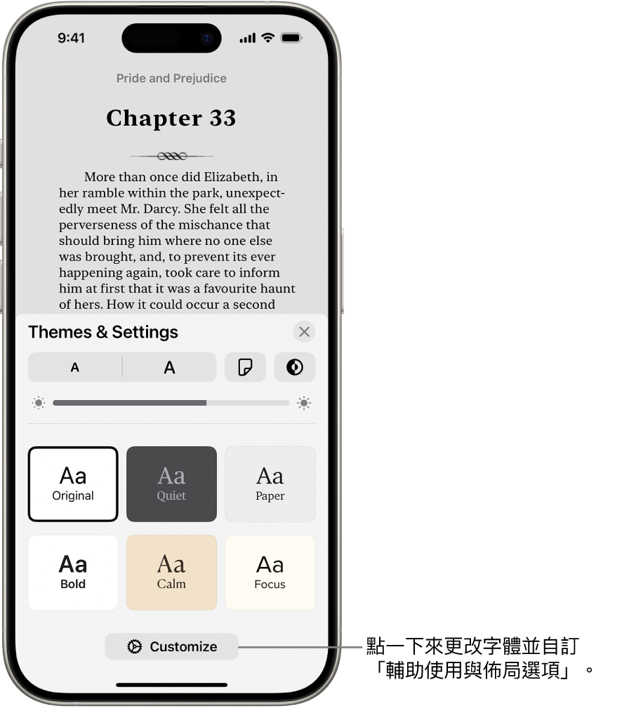 「書籍」App 中，書籍的頁面。「主題與設定」選項，顯示字體大小、捲動顯示方式、翻頁樣式、亮度和字體樣式的控制項目。