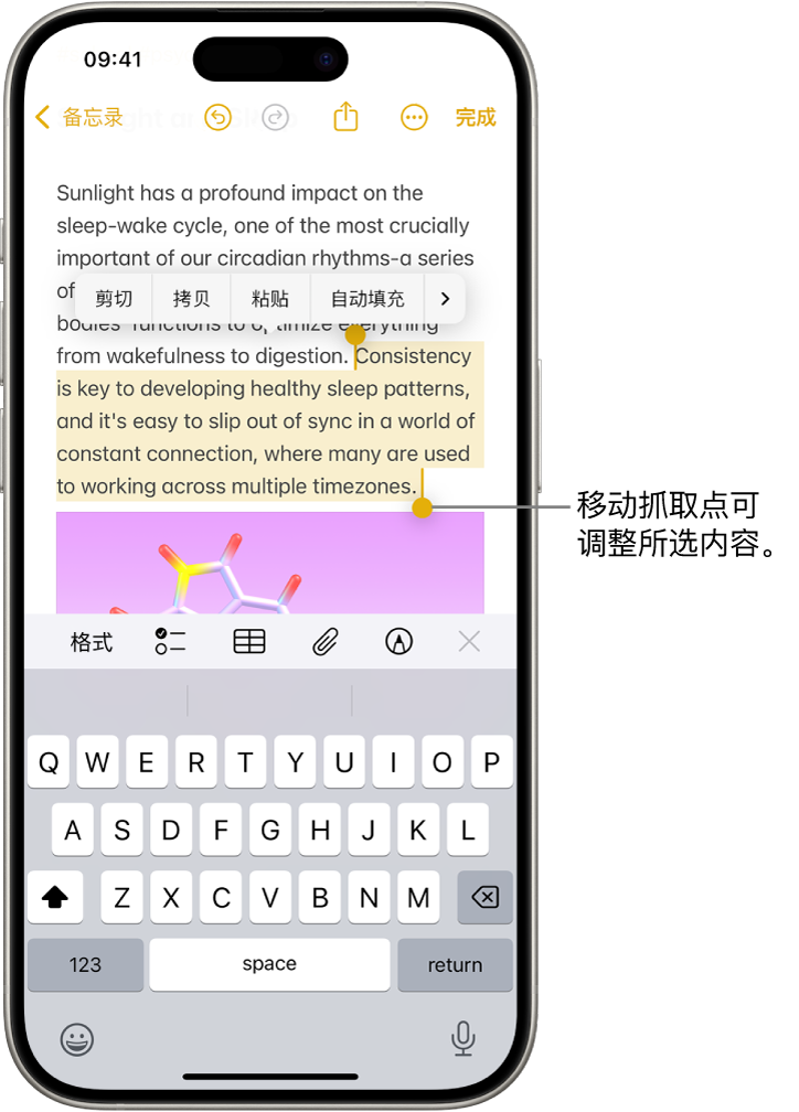 “备忘录” App 的备忘录中选中了文本。所选文本上方是“剪切”、“拷贝”、“粘贴”和“自动填充”按钮。所选文本高亮标记，并带有用于从任一端调整所选内容的抓取点。