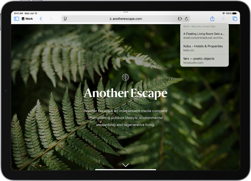 في تطبيق سفاري، مجموعة علامات التبويب مفتوحة. في الجزء العلوي الأيسر من الشاشة، زر علامة تبويب جديدة محدد، وتظهر قائمة بثلاث علامات تبويب مغلقة مؤخرًا.