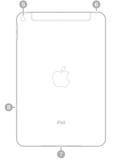 Mặt sau của iPad mini với các chú thích đến camera sau ở trên cùng bên trái, giắc cắm tai nghe ở trên cùng bên phải, đầu nối Lightning ở chính giữa dưới cùng và khay SIM (Wi-Fi + Cellular) ở dưới cùng bên trái.
