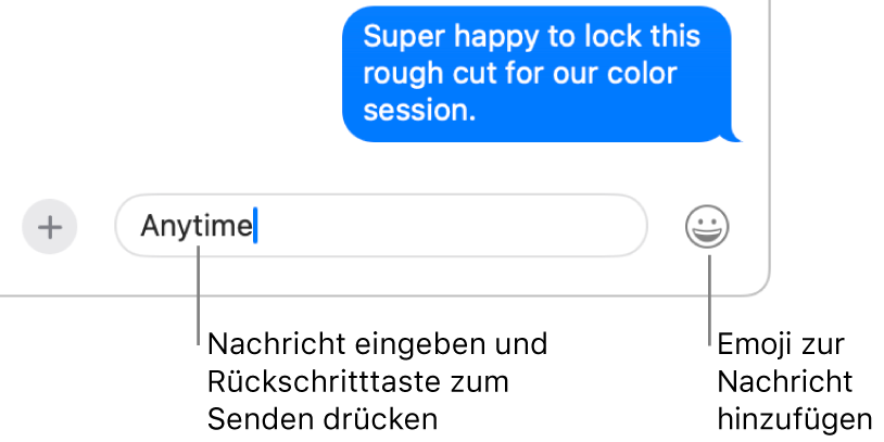 Ein Protokoll im Fenster „Nachrichten“ mit dem Nachrichtenfeld unten im Fenster.