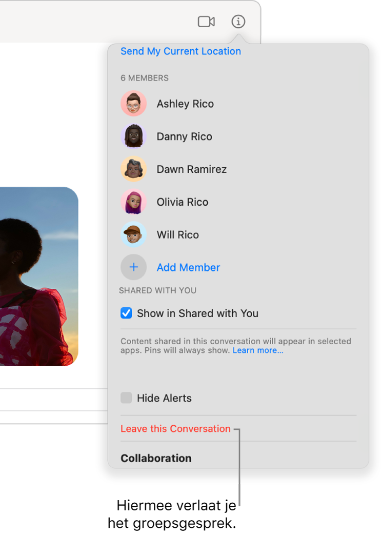 Infoweergave, die verschijnt nadat je in een gesprek op de infoknop hebt geklikt. Onder in het dialoogvenster staat 'Verlaat dit gesprek'.