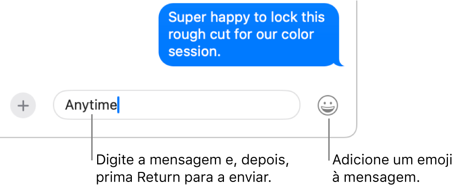 Uma transcrição na janela da aplicação Mensagens, com o campo de mensagem na parte inferior da janela.