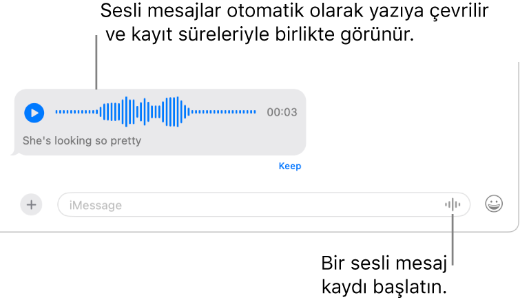 Mesajlar yazışması, pencerenin en altındaki mesaj alanının yanında Ses Kaydı Yap düğmesini gösteriyor. Yazışmada bir sesli mesaj, yazılı dökümü ve kayıt süresi ile birlikte görünüyor.