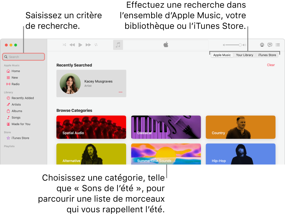 La fenêtre Apple Music, avec le champ de recherche dans le coin supérieur gauche, la liste de catégories au centre de la fenêtre et « Apple Music », « Votre bibliothèque » et l’iTunes Store disponibles dans le coin supérieur droit. Saisissez des critères de recherche dans le champ de recherche, puis choisissez d’effectuer la recherche dans tout Apple Music, seulement dans votre bibliothèque ou sur l’iTunes Store.