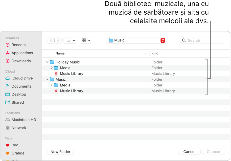 Fereastra Finder afișând mai multe biblioteci – una pentru muzica de sărbători și cealaltă pentru restul muzicii.