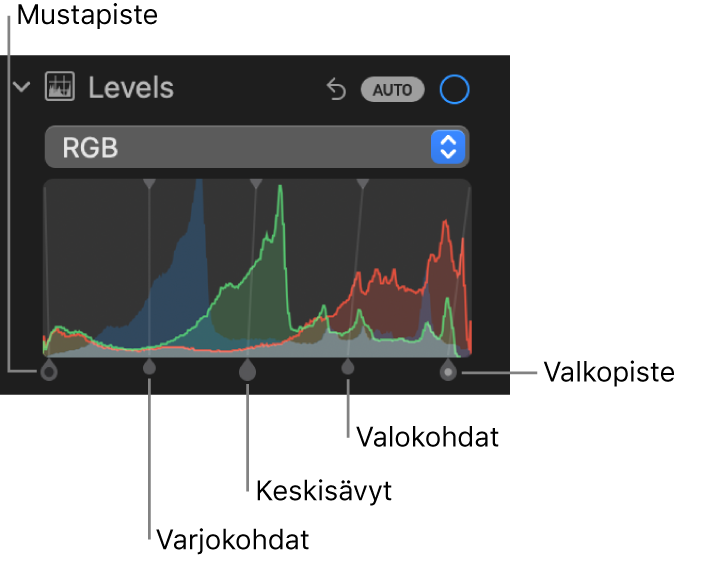 Tasosäätimet Säädöt-osiossa, ja näkyvillä on RGB-histogrammi ja sen alla kahvat, mukaan lukien (vasemmalta oikealle) mustapiste, varjokohdat, keskisävyt, valokohdat ja valkopiste.