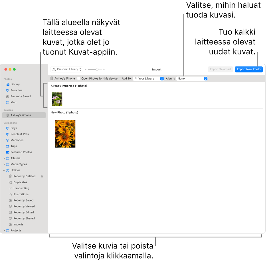 Kuvat, jotka laitteesta on jo tuotu, näkyvät Tuonti-ikkunan yläreunassa; uudet kuvat ovat alhaalla. Ylhäällä keskellä on Albumi-ponnahdusvalikko. Tuontipainikkeet ovat oikeassa yläkulmassa.