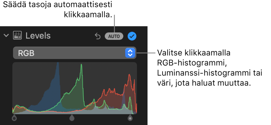 Tasosäätimet Säädöt-osiossa, ja näkyvillä on Automaattinen-painike yläoikealla ja RGB-histogrammi alla.