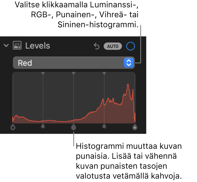 Tasosäätimet Säädöt-osiossa, ja näkyvillä on punainen histogrammi ja sen alla kahvat kuvan punaisuustasojen säätämiseen.