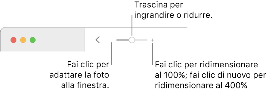 La barra strumenti con i controlli di zoom.