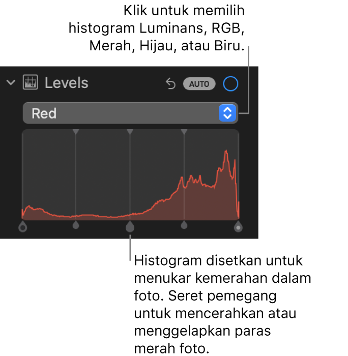 Kawalan Aras dalam anak tetingkap Laras, menunjukkan histogram Merah dengan pemegang di bawah untuk melaraskan paras merah foto.