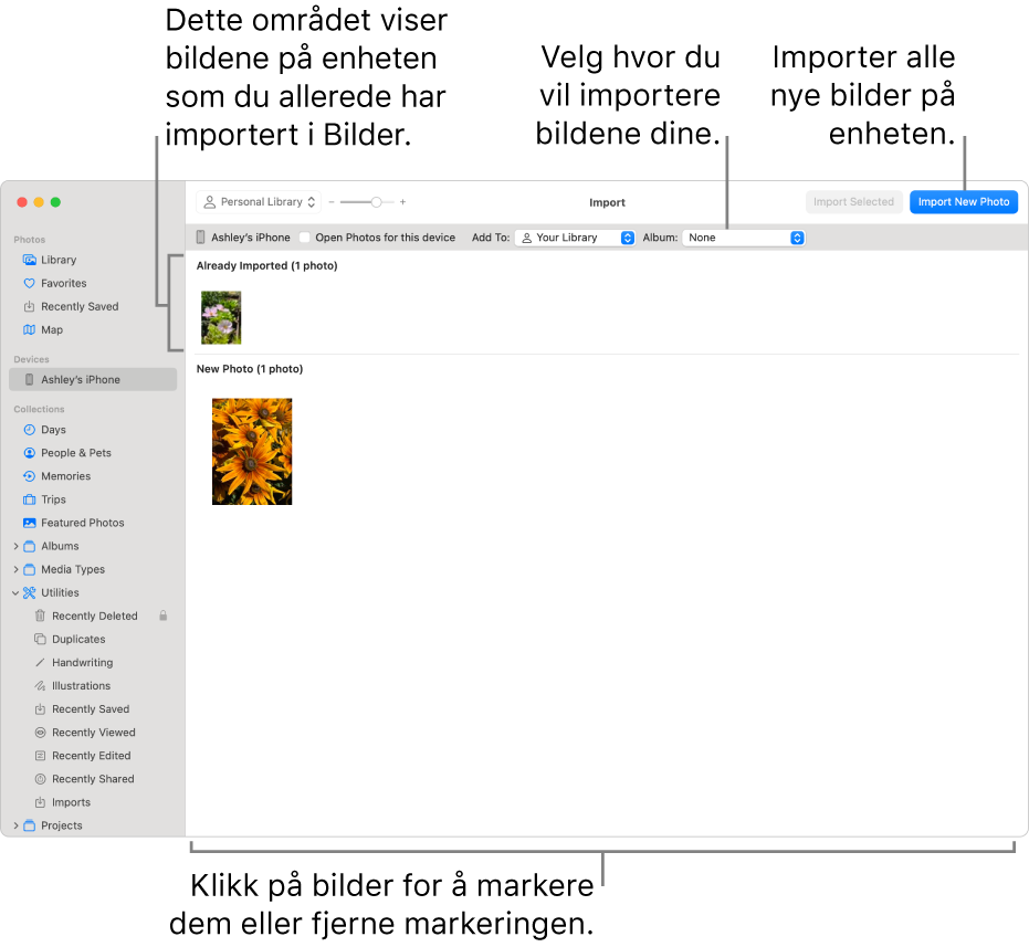 Bilder på enheten som du allerede har importert, vises øverst i Importer-vinduet. Nye bilder vises nederst. Øverst i midten vises Album-lokalmenyen. Importknappene vises øverst til høyre.