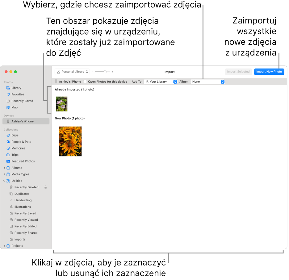 Zdjęcia już zaimportowane są widoczne na górze okna importu, natomiast nowe zdjęcia na tym urządzeniu są widoczne na dole. Na górze, po środku znajduje się menu podręczne Album. Przyciski importu znajdują się w prawym górnym rogu.