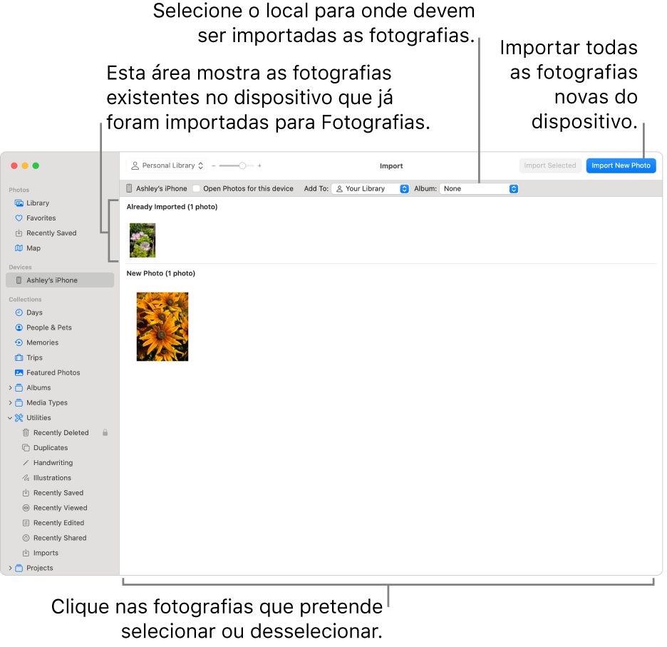 As fotografias do dispositivo que já importou são apresentadas na parte superior da janela Importar e as fotografias novas na parte inferior. Na parte superior, ao centro, encontra-se o menu pop‑up “Álbum”. Os botões de importação encontram‑se na parte superior direita.