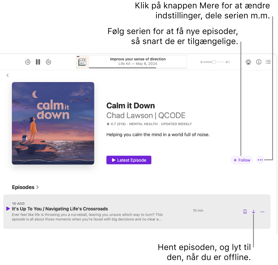 En side med oplysninger om en podcast med knapperne Følg, Mere og Hentet.